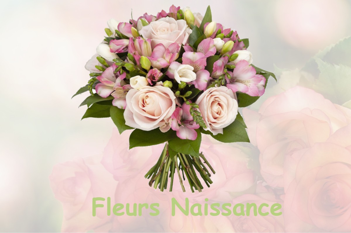 fleurs naissance ROQUES