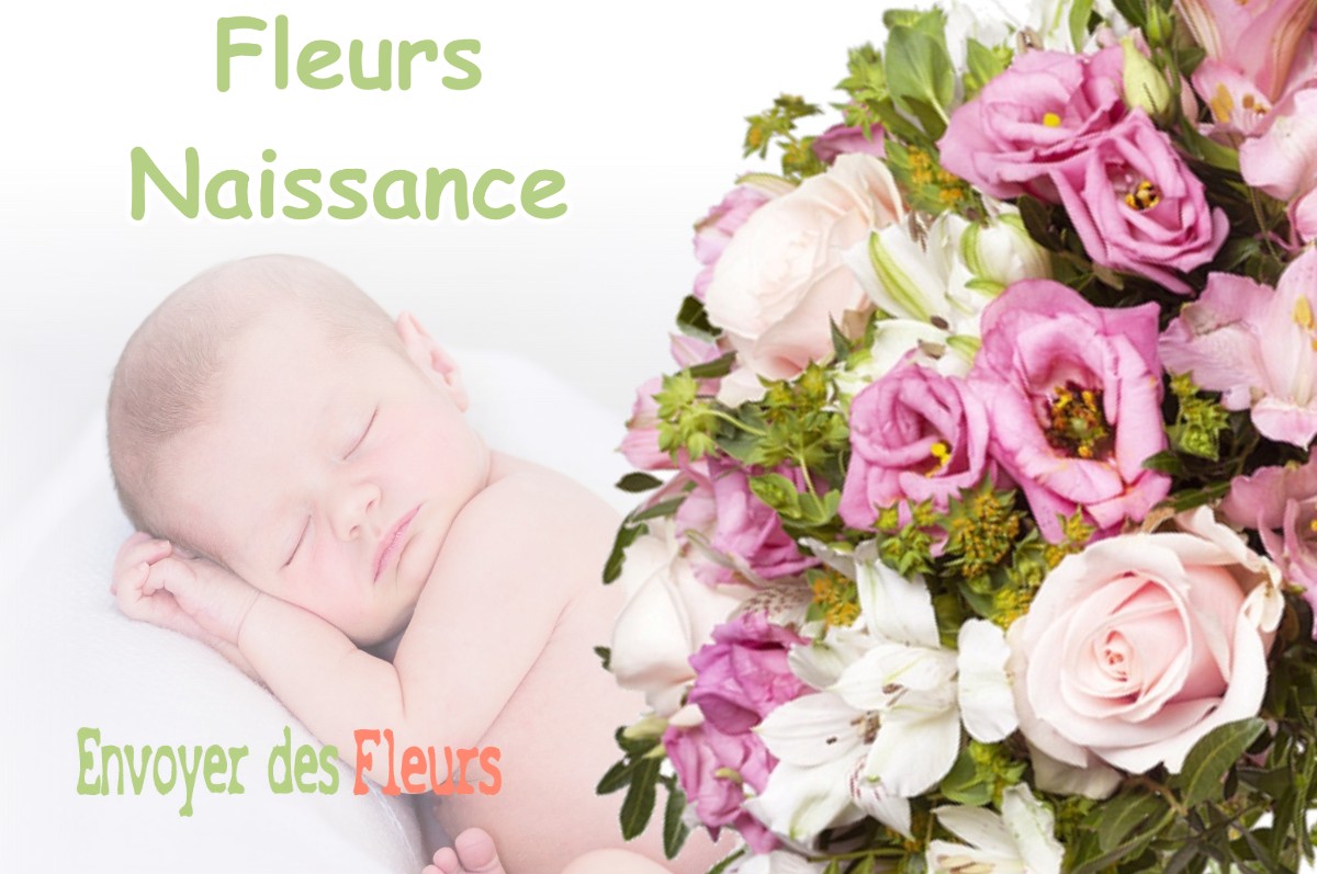 lIVRAISON FLEURS NAISSANCE à ROQUES