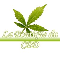 LA BOUTIQUE DU CBD ROQUES 